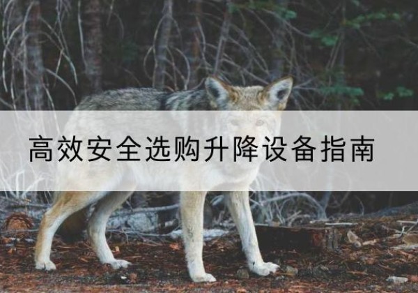 合作升降货梯厂家推荐-*安全选购升降设备指南