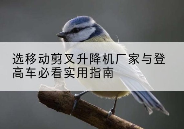 合作电动升降机厂家-选移动剪叉升降机厂家与登高车必看实用指南